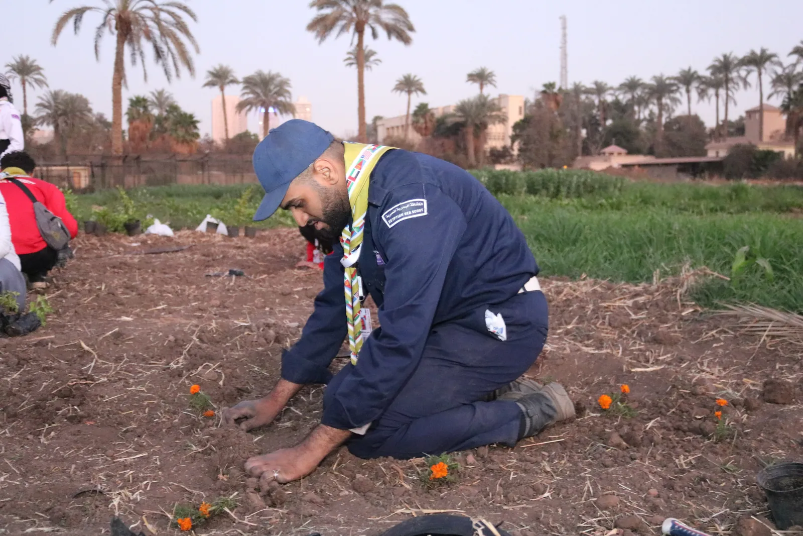كشاف يزرع الأزهار في حقل والنخيل في الأفق
